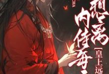 小说《内侍每天都想离皇上远点》章节免费阅读-有书评