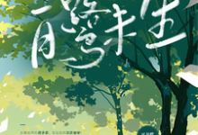 白鹭未生张白鹭陈维生,白鹭未生完整版最新章节-有书评