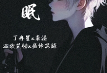 丁冉星栾泾小说在线章节免费阅读（港眠无弹窗无删减）-有书评