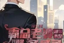 如果不是霸总老婆我还是一条咸鱼岳琰明洛红颜,如果不是霸总老婆我还是一条咸鱼在线无弹窗阅读-有书评