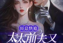 厉总快追，太太前夫又找上门了！这本小说在哪里可以看？哪里有免费试读章节？-有书评