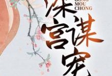 深宫谋宠完整版小说,深宫谋宠苏菱魏宸州-有书评