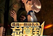 谍战:熬这么久,总算到美人计了这本小说完结了吗?免费查看最新章节-有书评