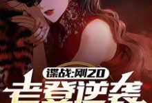 谍战:刚20,老登逆袭什么鬼?许敬元孙嘉棋小说在线章节免费阅读-有书评
