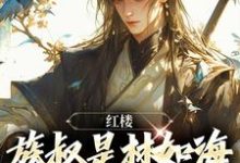 红楼:族叔是林如海,在线当大佬(林民意林黛玉)完整版在线免费阅读-有书评