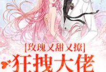 求玫瑰又甜又撩,狂拽大佬只想要名分小说免费资源-有书评