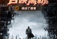 末世直播：召唤黑粉把国家队招来了叶宵，末世直播：召唤黑粉把国家队招来了在线无弹窗阅读-有书评