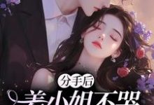 姜绾小说我有新男友后,高岭之花慌了章节免费阅读-有书评