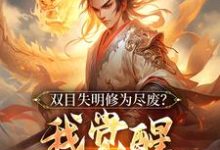 已完结小说《双目失明修为尽废？我觉醒盖世武魂》章节在线阅读-有书评