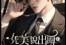 宁珂沈晏小说完整版《凭美貌出圈后 ，不婚沈总要娶我》免费阅读-有书评