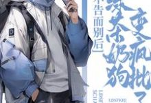 不告而别后，绿茶奶狗变疯批了小说的免费电子版在哪里可以下载或阅读？-有书评