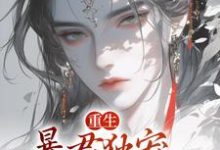 《重生:暴君独宠掌中后》九卿尘殷池小说免费阅读完整版-有书评