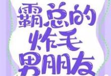 小说《霸总的炸毛男朋友》完整版章节免费阅读-有书评