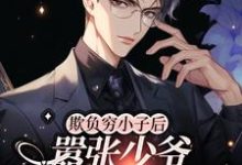《欺负穷小子后,嚣张少爷他破产了》许梵魏海小说免费阅读完整版-有书评