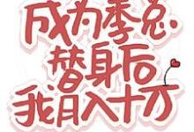 小说《成为季总替身后，我月入十万》章节免费阅读-有书评