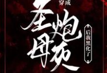 完整版《【末世】穿成圣母炮灰后我黑化了》小说免费阅读-有书评