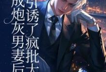 苏岭裴宥小说免费阅读完整版-有书评