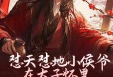 怼天怼地小侯爷在太子怀里装柔弱小说有没有完整的免费版本在线阅读？-有书评