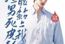小说《离婚后，渣男死皮赖脸黏上我》完整版在线章节免费阅读-有书评