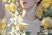 《找的帅“少爷’竟是包办婚姻未婚夫》小说章节在线试读,《找的帅“少爷’竟是包办婚姻未婚夫》最新章节目录-有书评