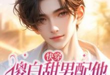 小说《快穿：傻白甜男配他拿了女主剧本》完整版在线章节免费阅读-有书评