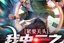 紧要关头,我中二之魂觉醒了免费阅读,紧要关头,我中二之魂觉醒了章节目录-有书评