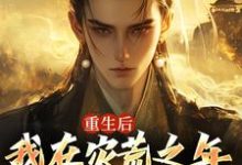 重生后，我在灾荒之年逆袭人生叶飞何秀秀小说完结版章节在线阅读-有书评