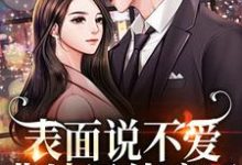 哪里可以免费找到表面说不爱,背地里他疯了?-有书评