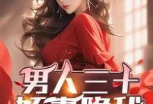 男人三十：娇妻隐秘石中玉小说大结局免费试读-有书评