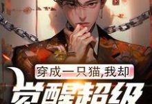 穿成一只猫,我却觉醒超级军工系统叶枫沐清月小说在线章节目录阅读最新章节-有书评