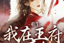 重生:我在王府当医妃小说有没有完整的免费版本在线阅读?-有书评