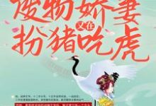 完整版的战王接嫁：废物娇妻又在扮猪吃虎小说在哪里可以免费读到？-有书评