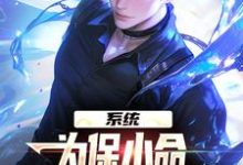 系统：为保小命，给儿子们全附魔小说有没有完整的免费版本在线阅读？-有书评