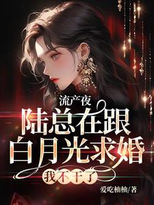 小说《流产夜，陆总在跟白月光求婚，我不干了》完整版在线章节免费阅读