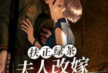 傅安安小说叫什么（扶正绿茶？夫人改嫁少帅你哭什么完整版免费阅读）-有书评