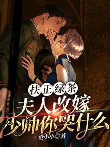 傅安安小说叫什么（扶正绿茶？夫人改嫁少帅你哭什么完整版免费阅读）