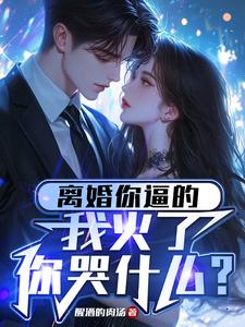 离婚你逼的，我火了你哭什么？李琦娟子小说免费阅读