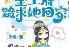 藏孕肚和离,全王府跪求她回家免费阅读,藏孕肚和离,全王府跪求她回家章节在线阅读-有书评