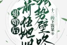《退婚后,被前任她姐强势壁咚》小说免费阅读完整版-有书评