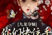 完结版《九龙夺嫡:你们快住手,别斗了!》免费阅读-有书评