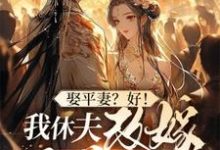 娶平妻？好！我休夫改嫁王爷给你看姜芸涵小说完结版章节在线阅读-有书评