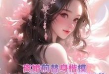陆白芷秦墨延完整版《离婚前替身楷模,离后夜夜找男模》小说免费阅读-有书评