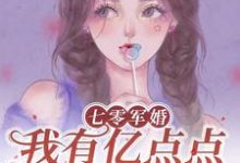 完结版《七零军婚,我有亿点点的小钱钱》在线免费阅读-有书评