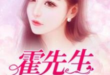 《霍先生,离婚吧》全集免费在线阅读(沈凉霍少天)-有书评