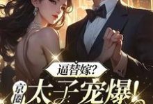 求逼替嫁?京圈太子宠爆!全家悔哭小说的全文免费阅读链接-有书评