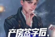 产房签字后，觉醒奶爸系统！小说阅读，产房签字后，觉醒奶爸系统！完结版-有书评