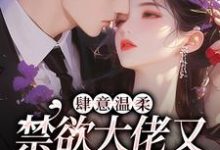完结版《肆意温柔，禁欲大佬又在偷吻孕妻》免费阅读-有书评