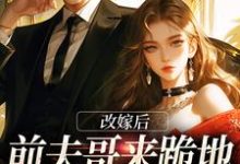 林绵绵沈陆晟小说免费阅读完整版-有书评