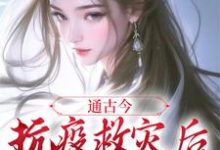 求通古今:抗疫救灾后,我暴富了小说的全文免费阅读链接-有书评