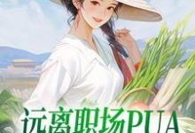 远离职场PUA，我决定回家赶海陆佳怡小说在线章节目录阅读最新章节-有书评